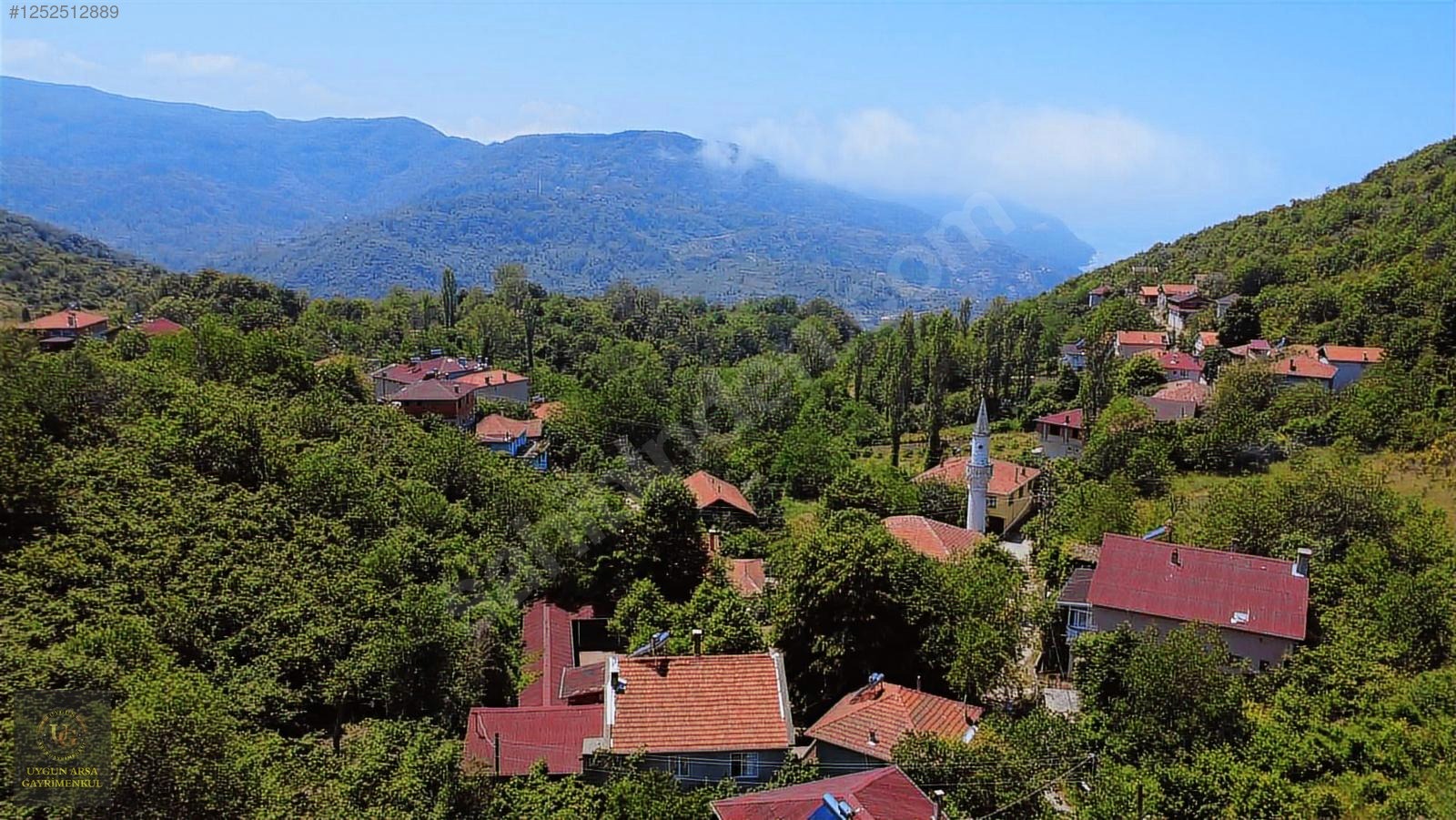 KASTAMONU CİDE'DE KÖY İÇİNDE DENİZ MANZALARI FINDIK BAHÇESİ - KASTAMONU CİDE fotoğraf 8