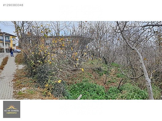 SAKARYA/SAPANCA/MEMNUNİYE MAH. SATILIK EV VE FINDIK BAHÇESİ - SAKARYA SAPANCA fotoğraf 15