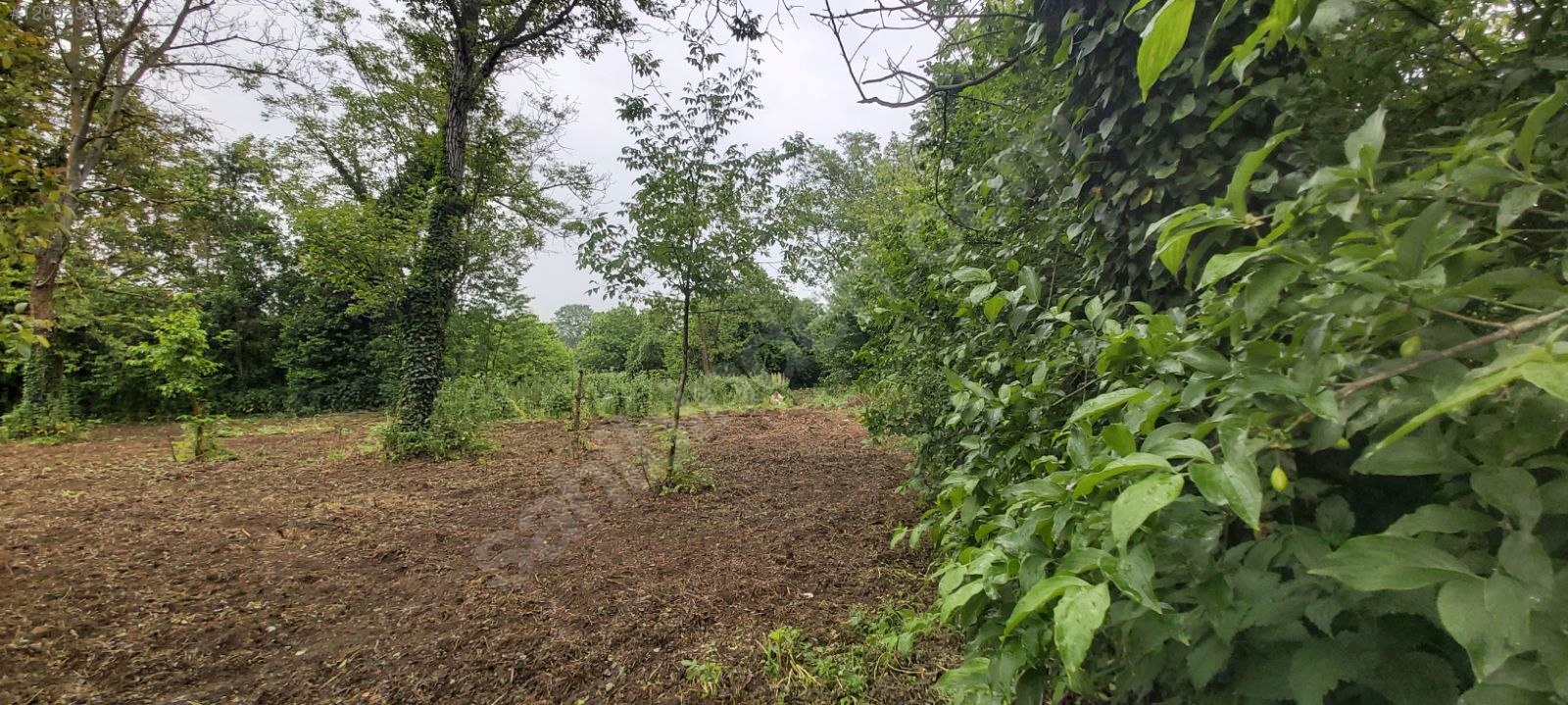 BURSA KESTEL KOZLUÖREN 507 M² BAHÇE SATILIKTIR - BURSA KESTEL fotoğraf 14