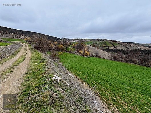 SAMSUN VEZİRKÖPRÜ ÇAMLIDERE'DE 6.670 M2 UYGUN ARSA - SAMSUN VEZİRKÖPRÜ fotoğraf 19