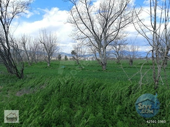 Çevreyoluna Çok Yakın 5 Dönüm Bahçe, 2 tarafı da yol - ANTALYA KORKUTELİ fotoğraf 43