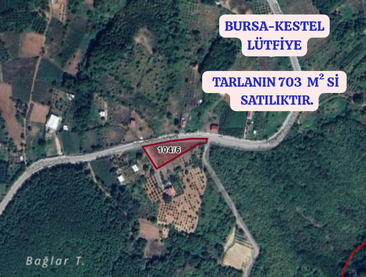 BURSA KESTEL LÜTFİYE KÖYÜNDE  TARLANIN 703 M² Sİ SATILIKTIR. - BURSA KESTEL fotoğraf 2