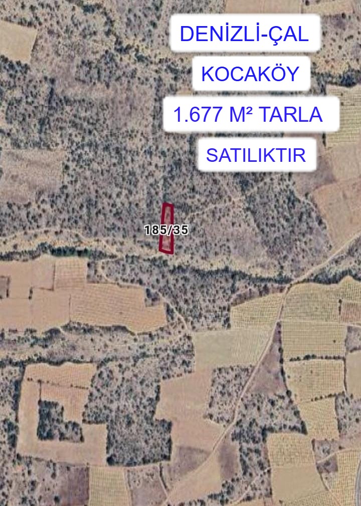 DENİZLİ ÇAL KOCAKÖY MAH.1.677M² TARLA  SATILIKTIR - DENİZLİ ÇAL fotoğraf 3