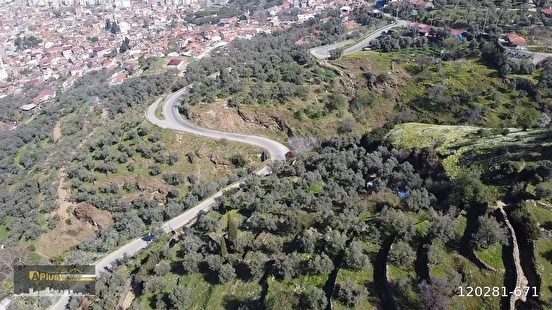 A PLUS GAYRİMENKULDEN YOLA CEPHELİ ELEKTRİK SU BULUNAN ZEYTİNLİK - İZMİR TİRE fotoğraf 14