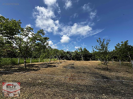 KARASU KUYUMCULUDA SATILIK 463 M2 FIRSAT ARSA - SAKARYA KARASU fotoğraf 26