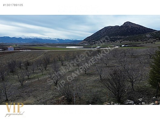 VİP GAYRİMENKUL'den KIŞLA MAH. ANAYOL CEPHELİ 4.320m² ARAZİ - ANTALYA ELMALI fotoğraf 7