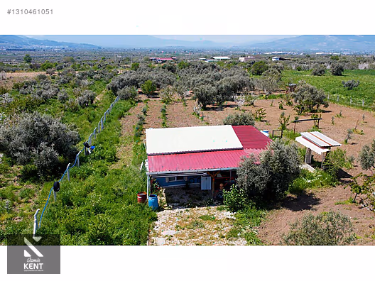 Kemalpaşa Halilbeylide Satılık 3000 m2 Bahçe 40 m2 Ev - İZMİR KEMALPAŞA fotoğraf 18