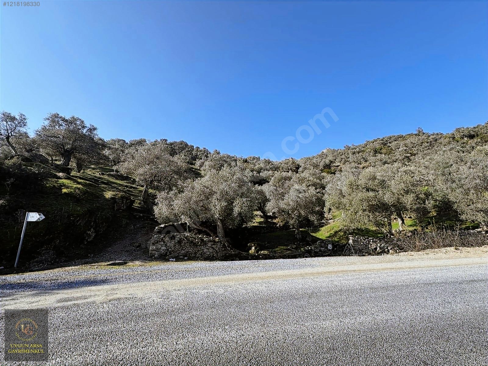 AYDIN KARPUZLU MERKEZ'DE 21.050 M2 ANA YOLA CEPHE ZEYTİNLİK - AYDIN KARPUZLU fotoğraf 17
