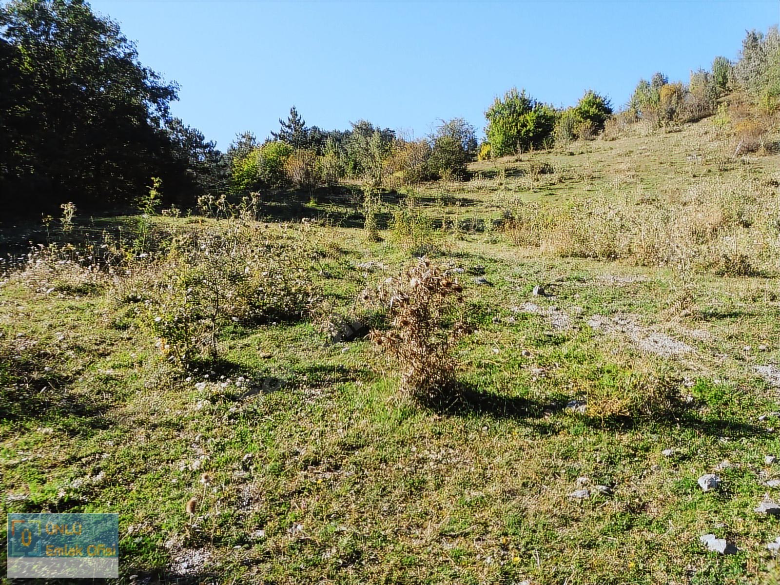 ÜNLÜ EMLAKTAN ILGAZ MANZARALI ORMAN İÇİNDE 50 DÖNÜM CAZİP ARAZİ - KASTAMONU MERKEZ fotoğraf 31