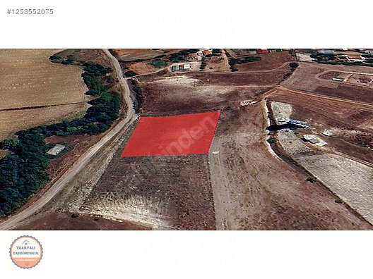 TEKİRDAĞ SARAY KURTDERE 3.550 M2 KÖY İÇİ SATILIK KUPON ARAZİ - TEKİRDAĞ SARAY fotoğraf 9