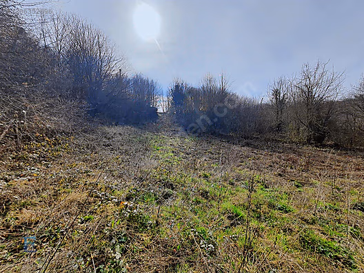 NÜZHETİYE DEĞERİ HER GÜN ARTAN AT ÇİFTLİĞİ BİTİŞİĞİ SATILIK - KOCAELİ GÖLCÜK fotoğraf 3