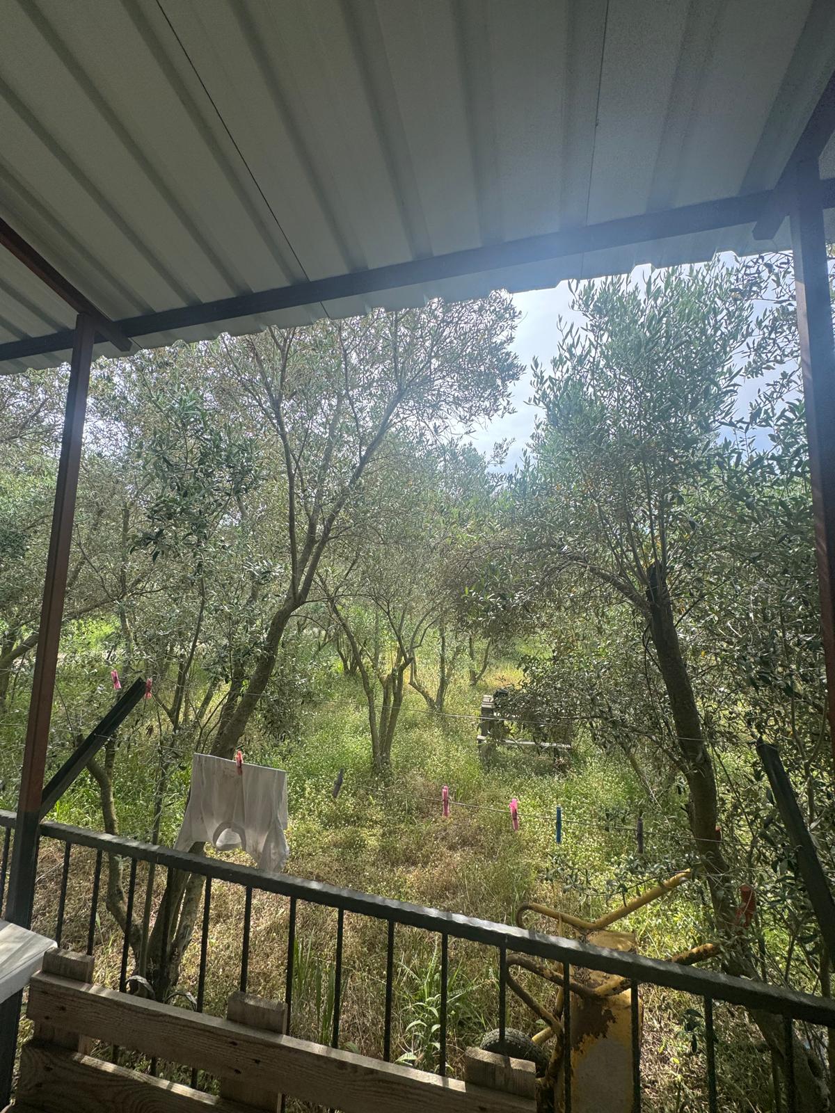 Zeytin ve meyve bahçesi 1+1 prefabrik daire - MUĞLA SEYDİKEMER fotoğraf 10