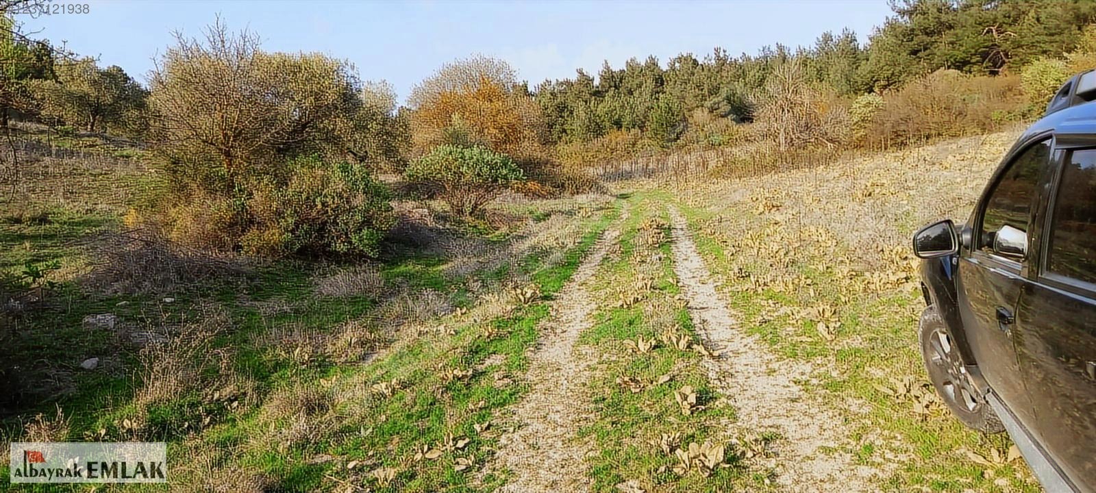MANİSA SARIALAN DA SATILIK 15.DÖNÜM KUPON ZEYTİNLİK 3.300.000 TL - MANİSA ŞEHZADELER fotoğraf 17