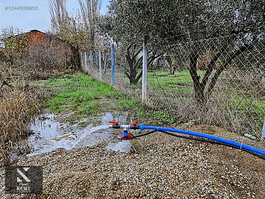 Kemalpaşa Armutlu Satılık 1120 m2 Bahçe - İZMİR KEMALPAŞA fotoğraf 16