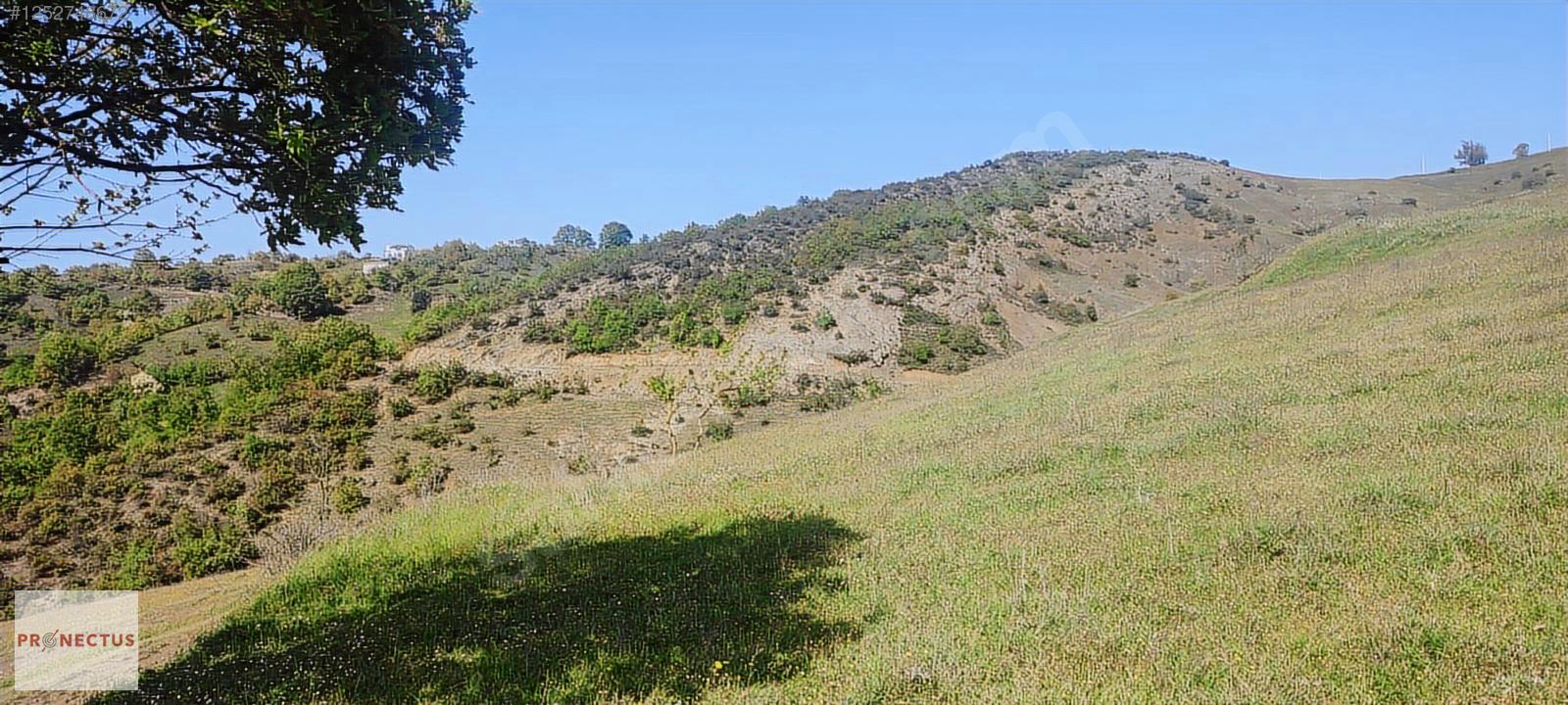FULACIK MAHALLESİ'NDE RESMİ YOLA CEPHE SATILIK 3516 M2 ARSA - KOCAELİ KARAMÜRSEL fotoğraf 5