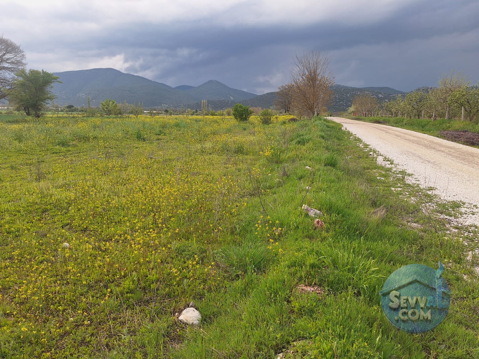 ASYA EMLAKTAN BURDUR AĞLASUN HİSARKÖY DE SATILIK FIRSAT TARLA - Burdur Ağlasun fotoğraf 2