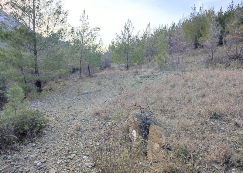 ANTALYA GÜNDOĞMUŞ ORTAKÖY   KÖYÜNDE 1.790  M² TARLA  SATILIKTIR - ANTALYA GÜNDOĞMUŞ fotoğraf 5