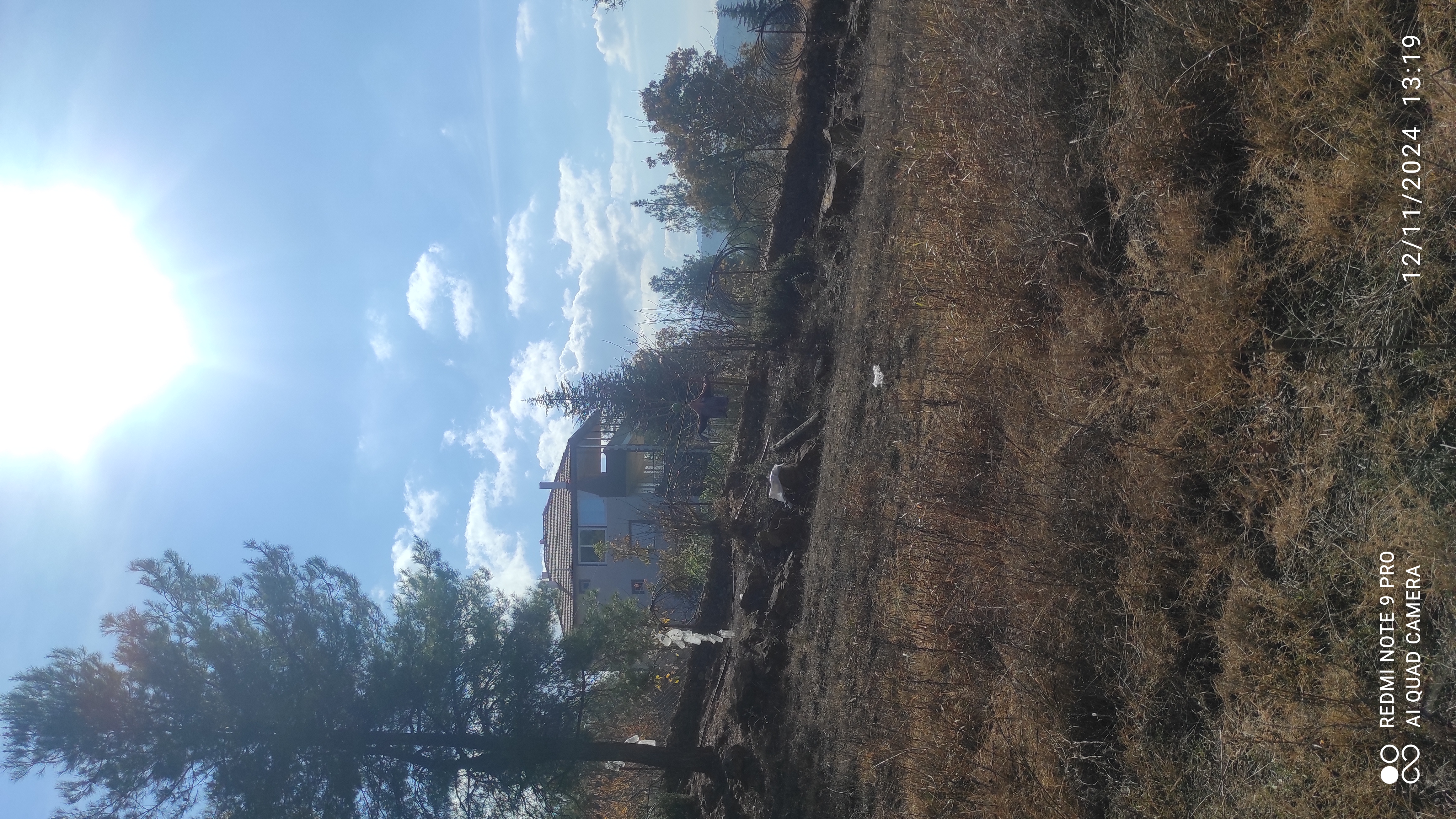 BURDUR BUCAKTA 2742.M2 SUYU VE ELEKTRİĞİ BULUNAN MEYVE BAHÇESİ  - BURDUR BUCAK fotoğraf 7
