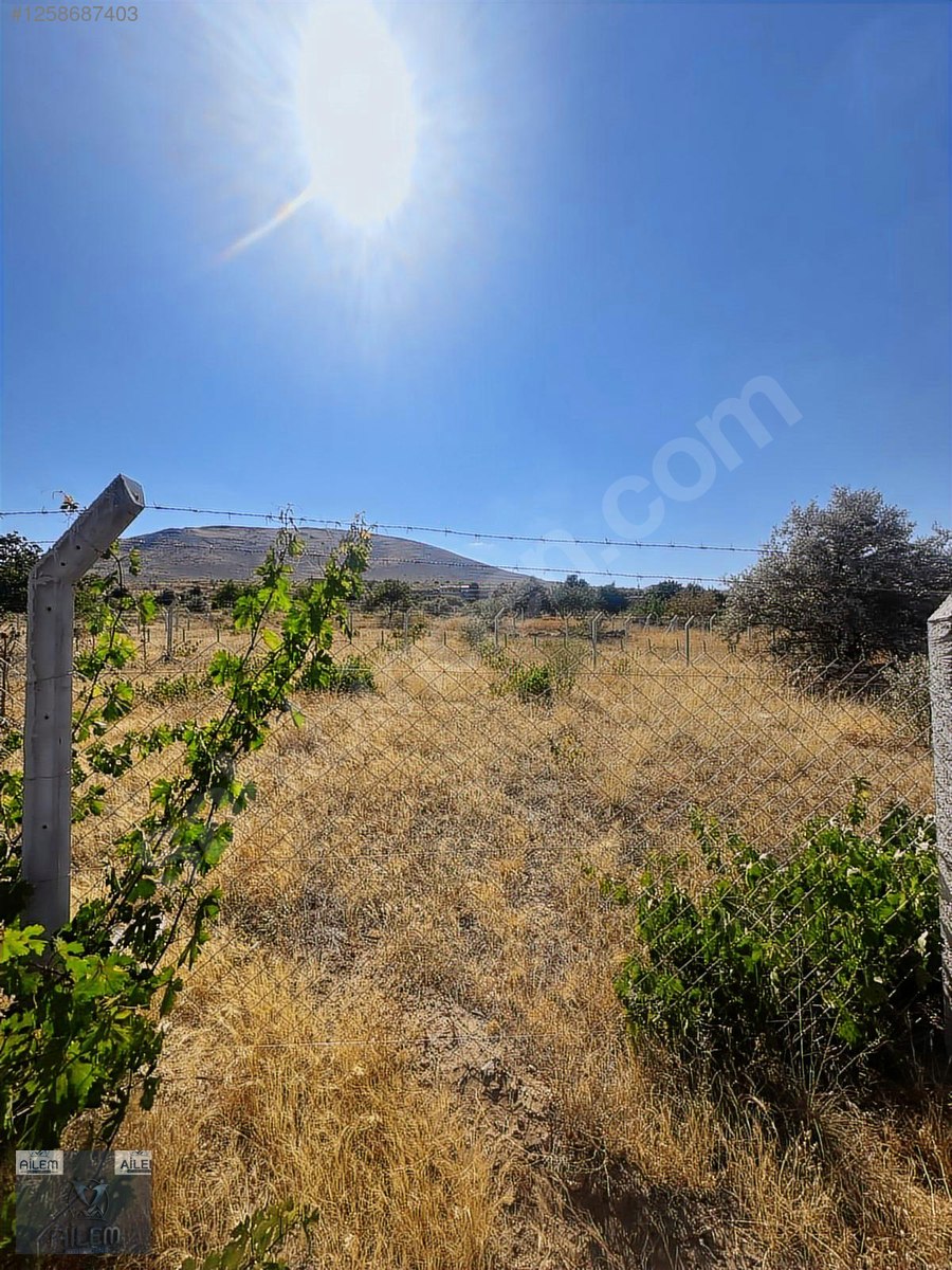 İNCESU GARİPÇE DE SATILIK 442 M2 ETRAFI ÇEVRİLİ BAĞ BAHÇE - KAYSERİ İNCESU fotoğraf 2