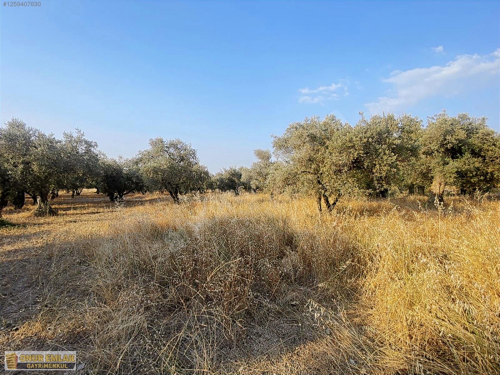 3 Kat İmarlı Arsa - İZMİR KEMALPAŞA fotoğraf 8
