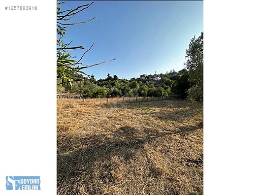Söğüt merkezde SATILIK 70m2 TİNNY HOUSE ARAZİSİ - MUĞLA MARMARİS fotoğraf 3