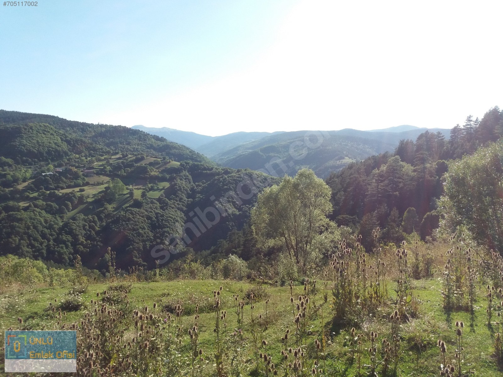 ÜNLÜ EMLAKTAN ILGAZ MANZARALI ORMAN İÇİNDE 50 DÖNÜM CAZİP ARAZİ - KASTAMONU MERKEZ fotoğraf 20