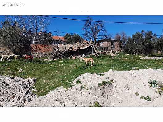 ÇANAKKALE BAYRAMİÇ YİĞİTLER KÖYÜ 249 m2 İMARLI ARSA - ÇANAKKALE BAYRAMİÇ fotoğraf 33