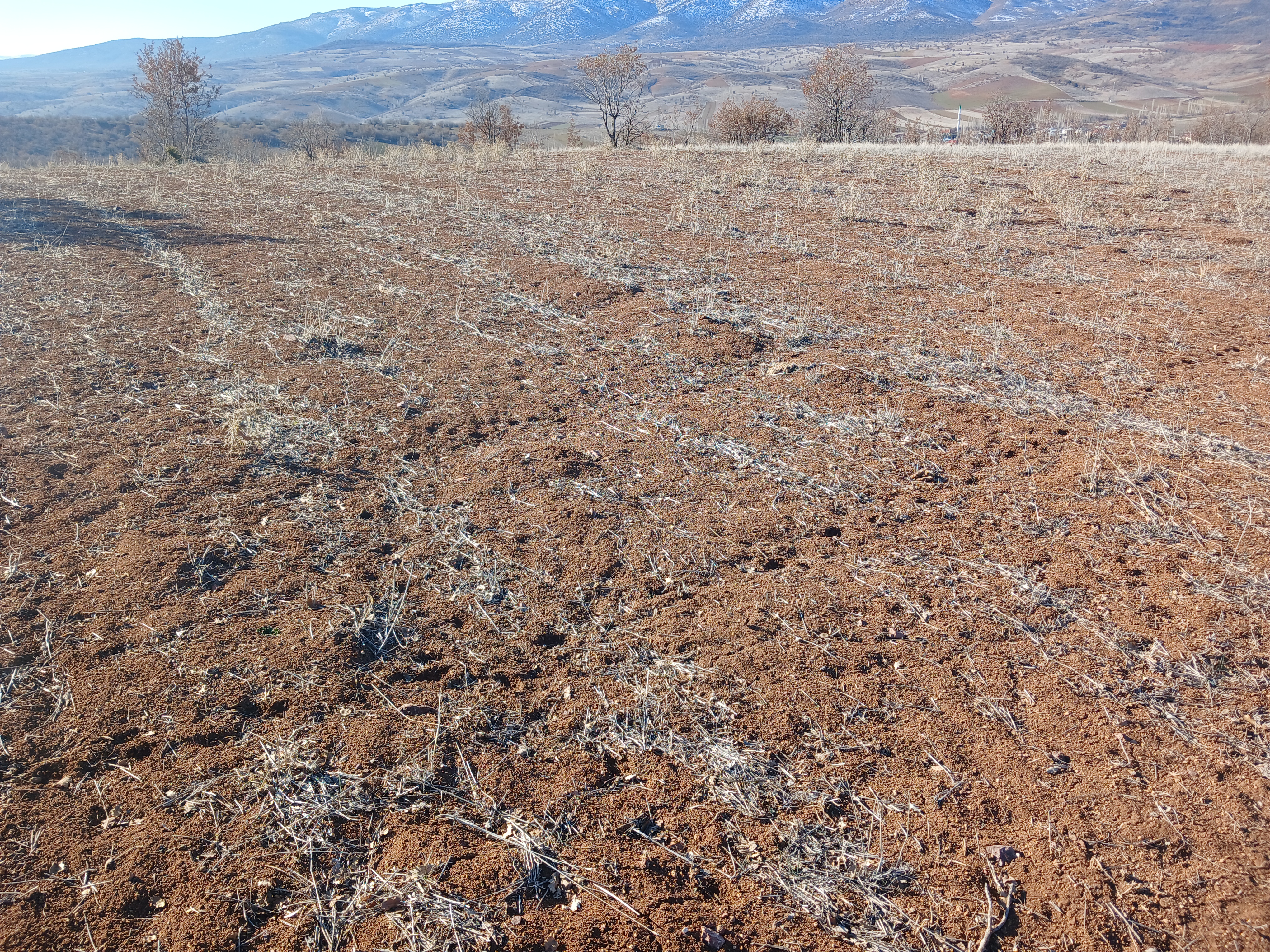 KONYA GÜNEYSINIR KAYAAĞZI KÖYÜNDE 4.477 M²  TARLA SATILIKTIR - KONYA GÜNEYSINIR fotoğraf 12