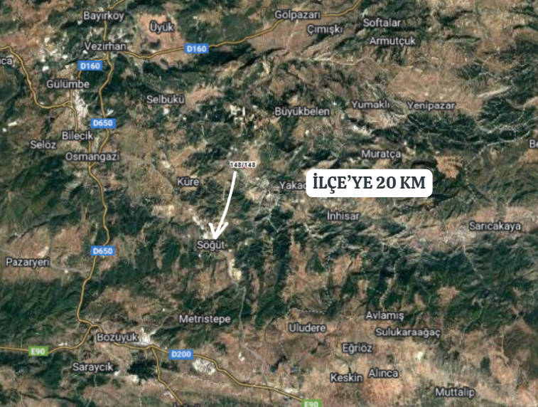 BİLECİK SÖĞÜT TUZAKLI  KÖYÜNDE 660 M² BAĞ  SATILIKTIR - BİLECİK SÖĞÜT fotoğraf 6