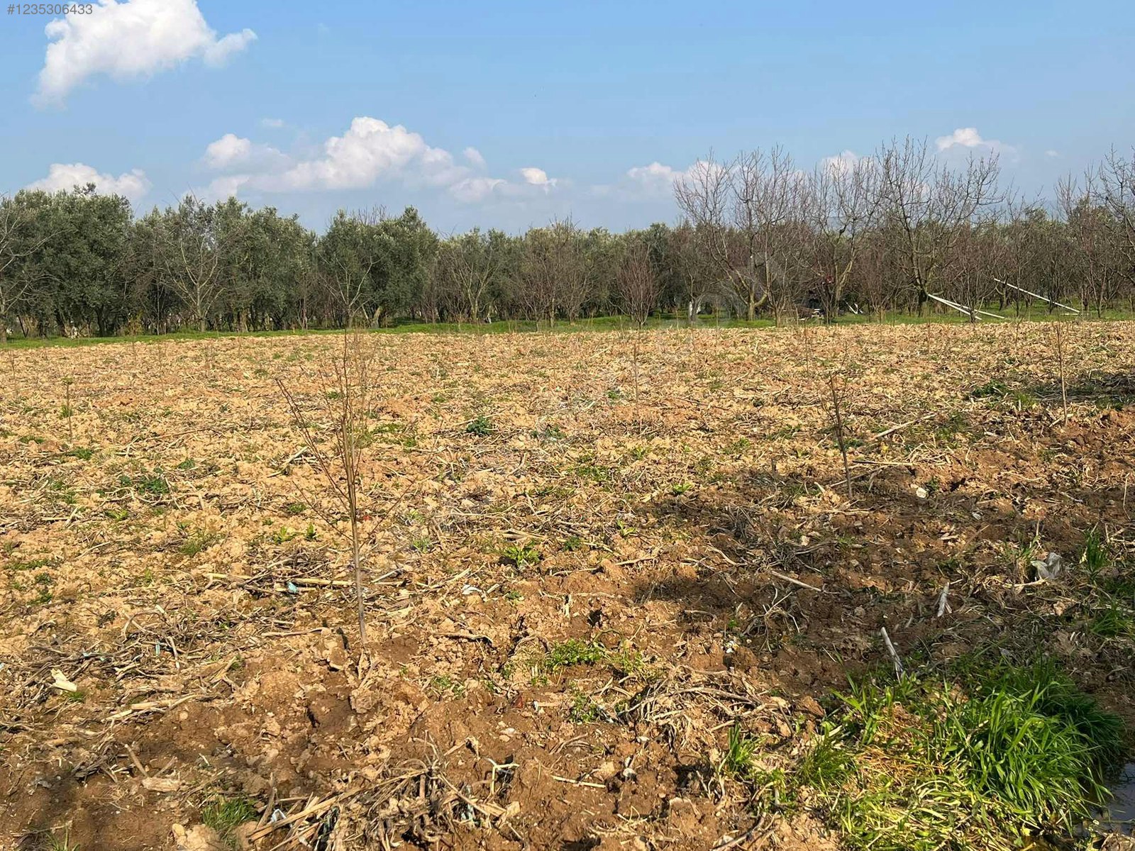BURSA İZNİK ÖMERLİ MAHALLESİ'NDE  9.656 M² TARLAMIZ SATILIKTIR - BURSA İZNİK fotoğraf 11