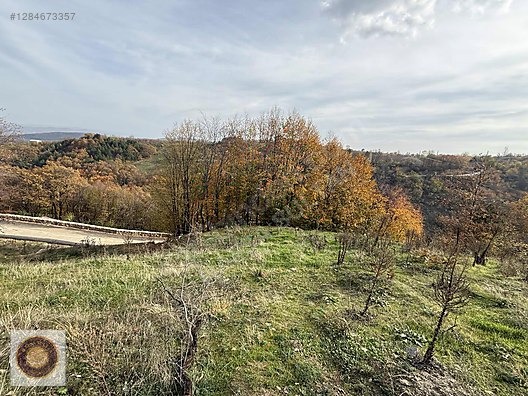 KESTEL LÜTFIYE MH SATILIK 1806M2 TARLA ASVALT YOLA CEPHE - BURSA KESTEL fotoğraf 23