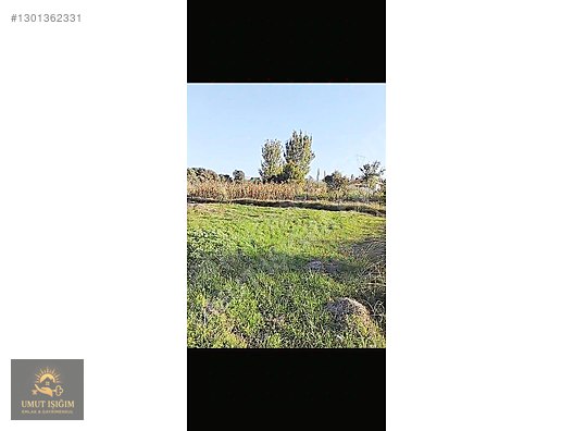 KÖYCEĞİZ YANGIDA SATILIK TARLA - MUĞLA KÖYCEĞİZ fotoğraf 7