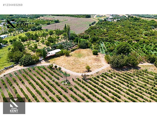 Kemalpaşa Yukarıkızılca Satılık 408 m2 Bahçe - İZMİR KEMALPAŞA fotoğraf 37