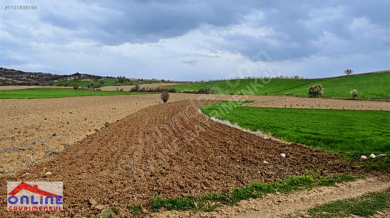 Araç Takaslı - BİLECİK YENİPAZAR fotoğraf 16