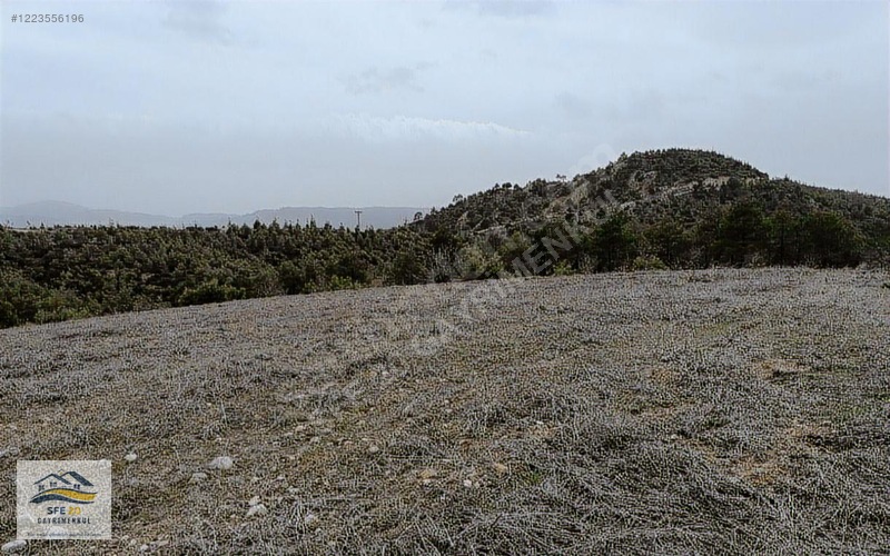 BOZKURT ALİ KURT'TA 10 DÖNÜM SATILIK ARAZİ - DENİZLİ BOZKURT fotoğraf 3