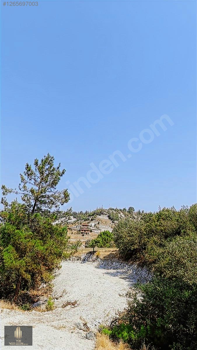 KÖY HAYATI İSTEYENLER KÖY DİBİ BU YER SİZİN İÇİN !! - MANİSA DEMİRCİ fotoğraf 4