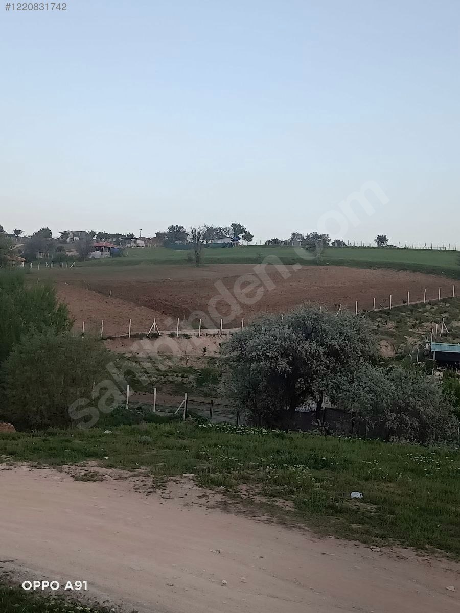 ANKARA ALTINDAĞ KAVAKLI KÖYÜNDE TARLAMIZIN 1.425 M² Sİ  SATILIKTIR - ANKARA ALTINDAĞ fotoğraf 10