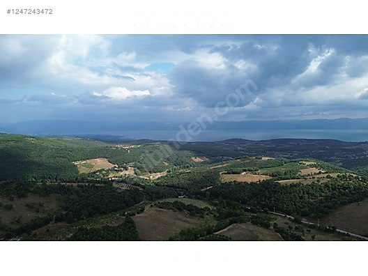 BURSA İZNİK ÖMERLİ MAHALLESİ'NDE  40.000 M² TARLAMIZ SATILIKTIR - BURSA İZNİK fotoğraf 5