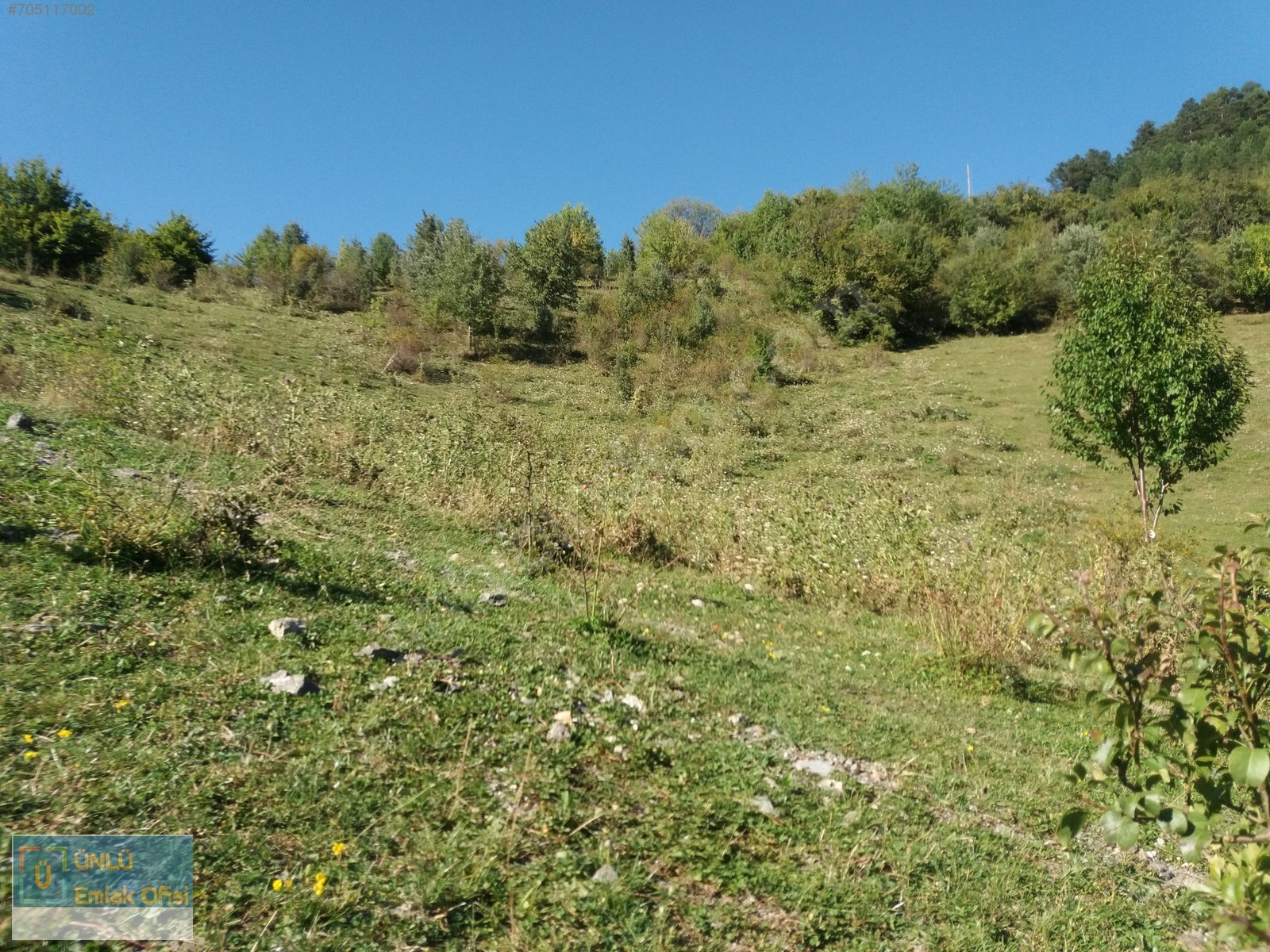 ÜNLÜ EMLAKTAN ILGAZ MANZARALI ORMAN İÇİNDE 50 DÖNÜM CAZİP ARAZİ - KASTAMONU MERKEZ fotoğraf 10