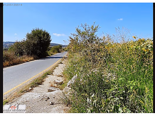 AYHAN HEPDİKER DEN SALMANLIDA ASVALT YOLA CEPHELİ 1.377m2 TARLA - SAKARYA ADAPAZARI fotoğraf 28