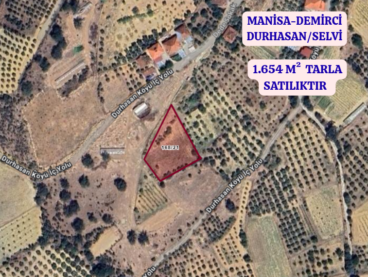 MANİSA DEMİRCİ DURHASAN/SELVİ   KÖYÜNDE  1.654  M²  TARLA  SATILIKTIR - MANİSA DEMİRCİ fotoğraf 2
