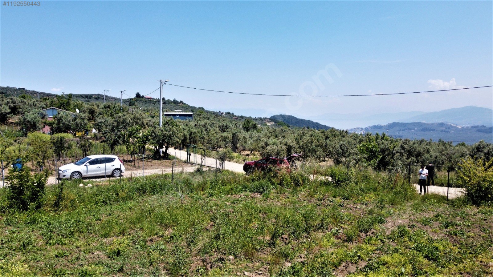 BURSA MUDANYA ÇEPNİ KÖYÜNDE 2.110 M² ZEYTİNLİK SATILIKTIR. - BURSA MUDANYA fotoğraf 6