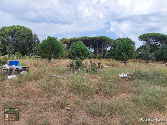 BERGAMA KOZAK YUKARIBEY MAH DE 4750 M2 BAĞ - İZMİR BERGAMA fotoğraf 7