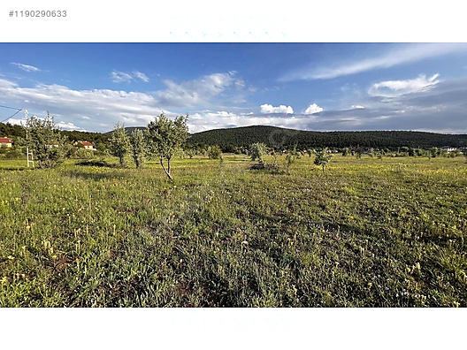 ANKARA ÇAMLIDERE BEYLER  KÖYÜNDE 469 M²  ARSAMIZ  SATILIKTIR - ANKARA ÇAMLIDERE fotoğraf 3