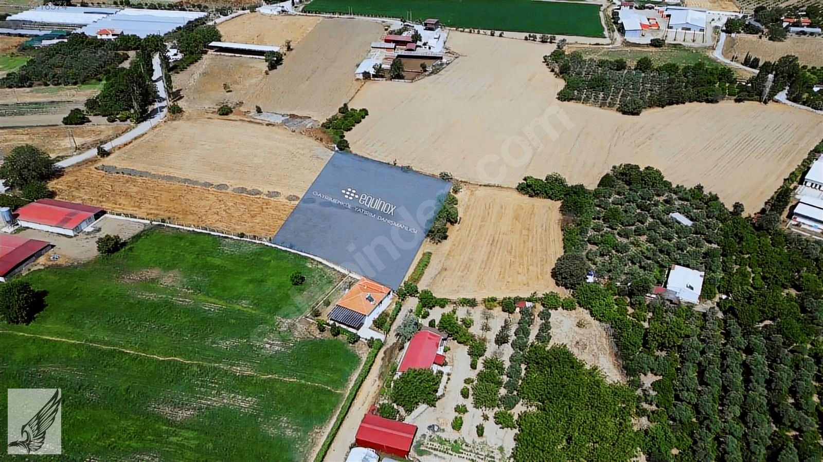 Seferihisar Düzce Ovada 3900 M² Emsalsiz Tarla - İZMİR SEFERİHİSAR fotoğraf 10