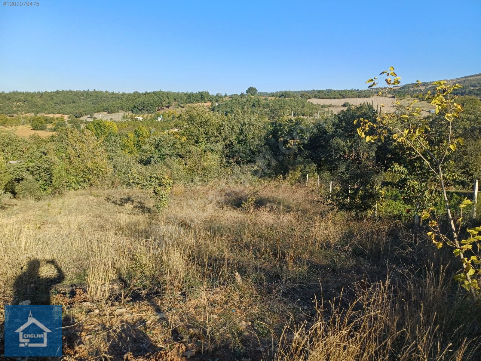 ÇAĞLAR'DAN TOPRAKDERE DE 823m2 MÜSTAKİL TARLA YOL+SU VAR - BURSA YENİŞEHİR fotoğraf 38