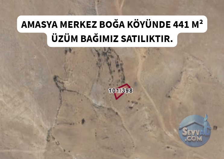 AMASYA MERKEZ BOĞA KÖYÜ 441 m² ÜZÜM BAĞI SATILIK - Amasya Merkez fotoğraf 15