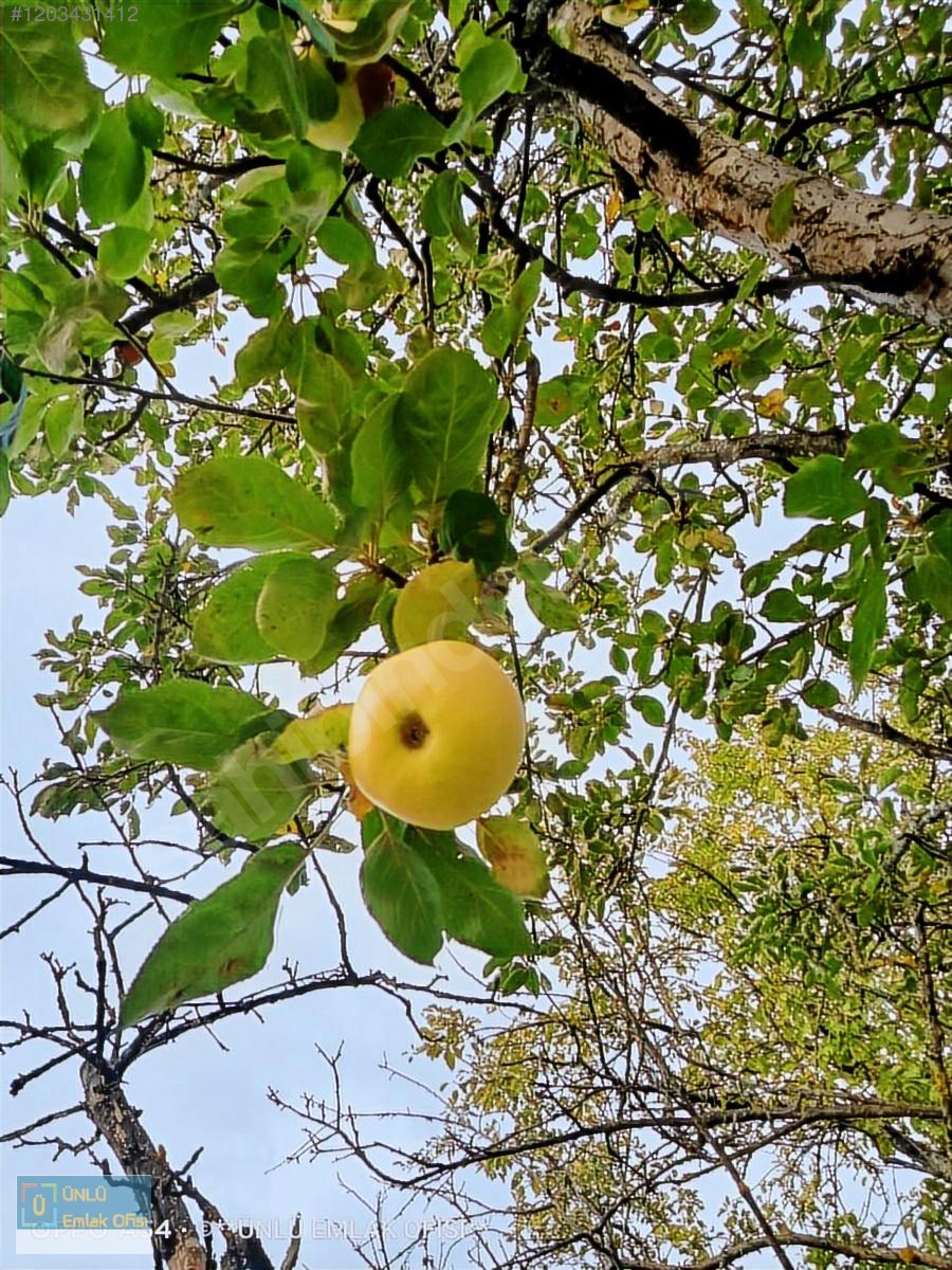 ÜNLÜ EMLAKTAN ESKİ TAŞKÖPRÜ YOLUNDA 6PARSEL YAPILABİLİR FIRSAT - KASTAMONU MERKEZ fotoğraf 26