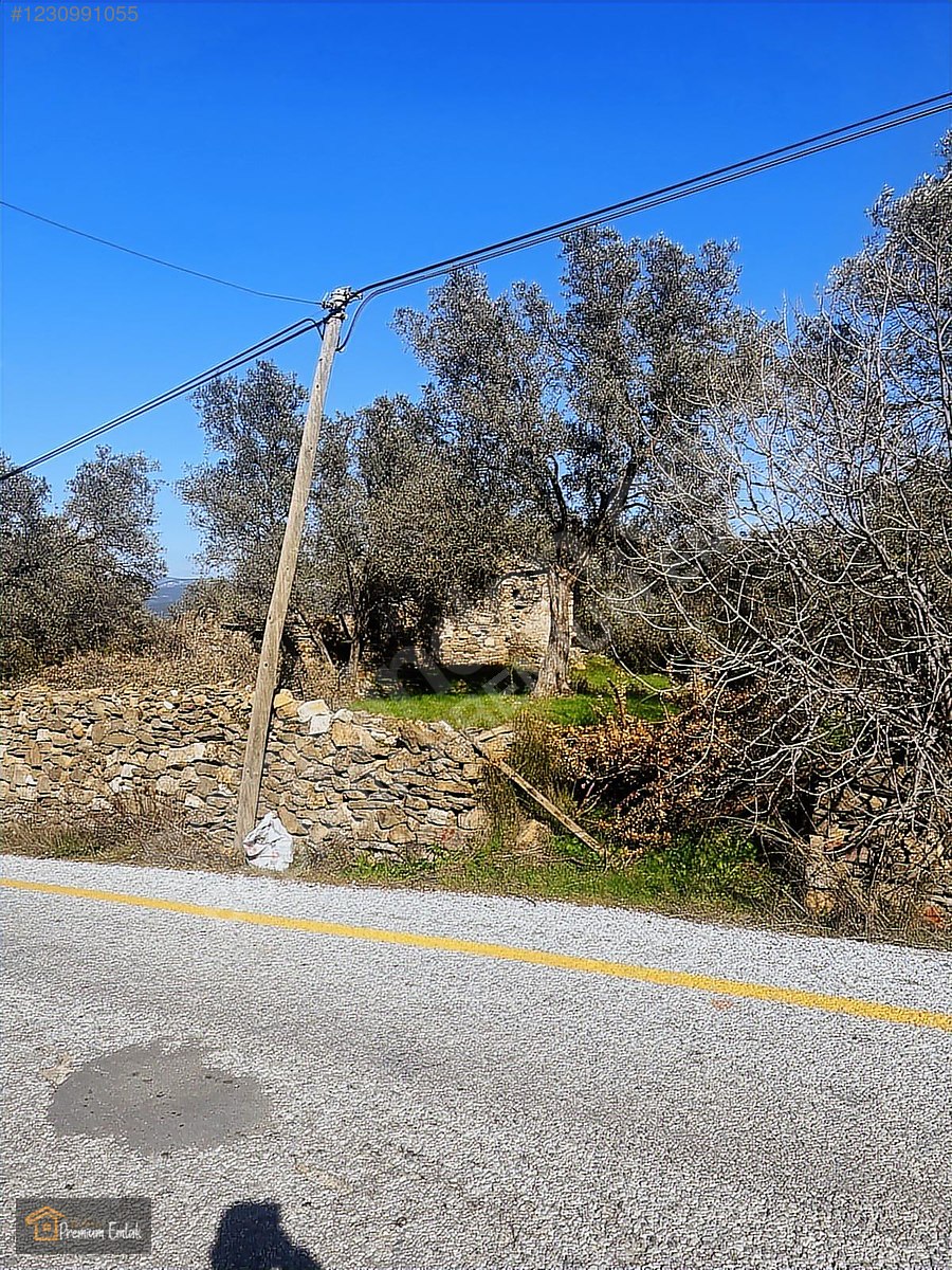 MİLAS KARACAHİSARDA KÖY İÇİ KAĞİR EV VE 980 M2 ARSASI - MUĞLA MİLAS fotoğraf 2