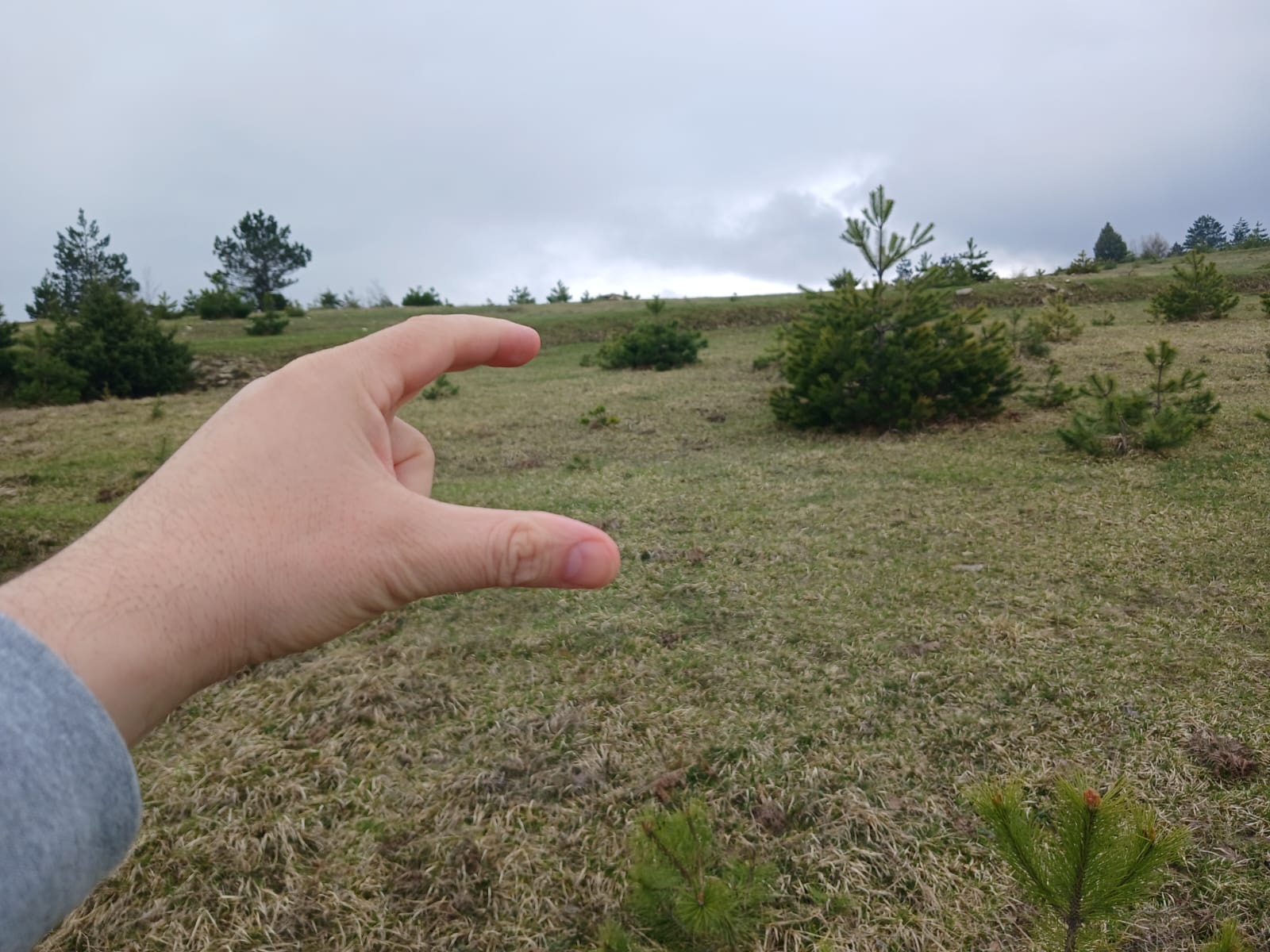 SİNOP DİKMEN ÇUKURCAALAN KÖYÜNDE 2.915M² TARLA SATILIK - SİNOP DİKMEN fotoğraf 20